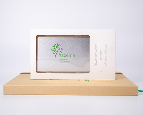 micrapel_merchandising_cargadores