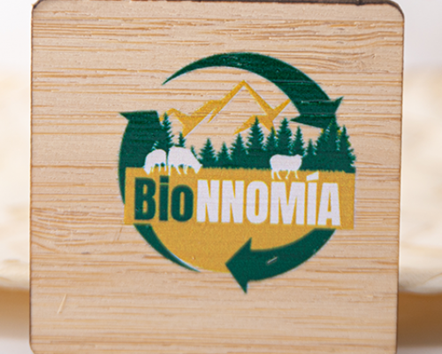 micrapel_merchandising_pin_1